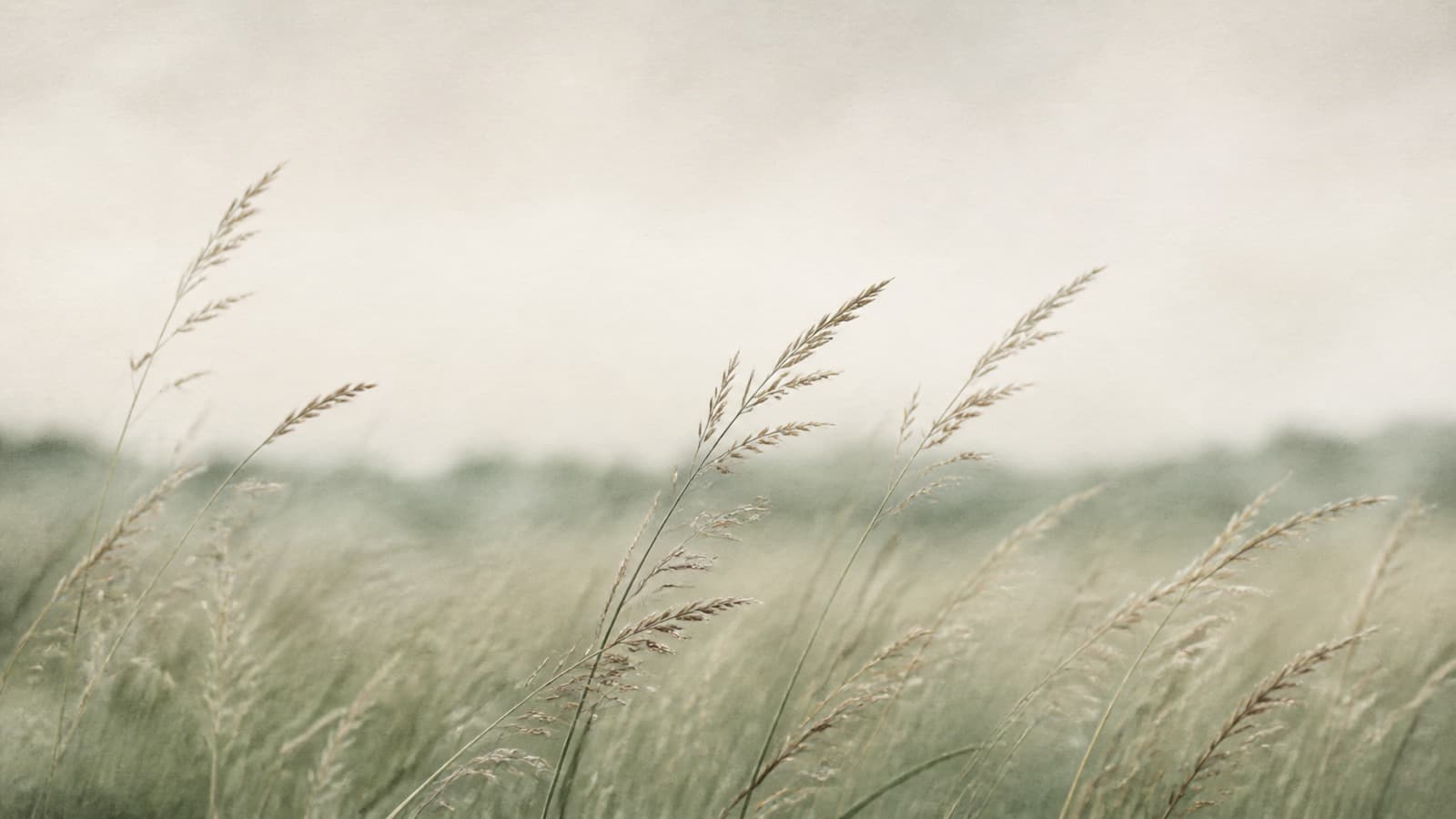 Common Reasons for Counselling — sample cover image